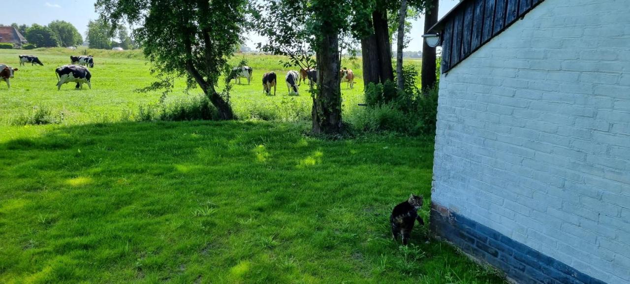 Villa Slapen Bij Bonanza Bantega Exterior foto